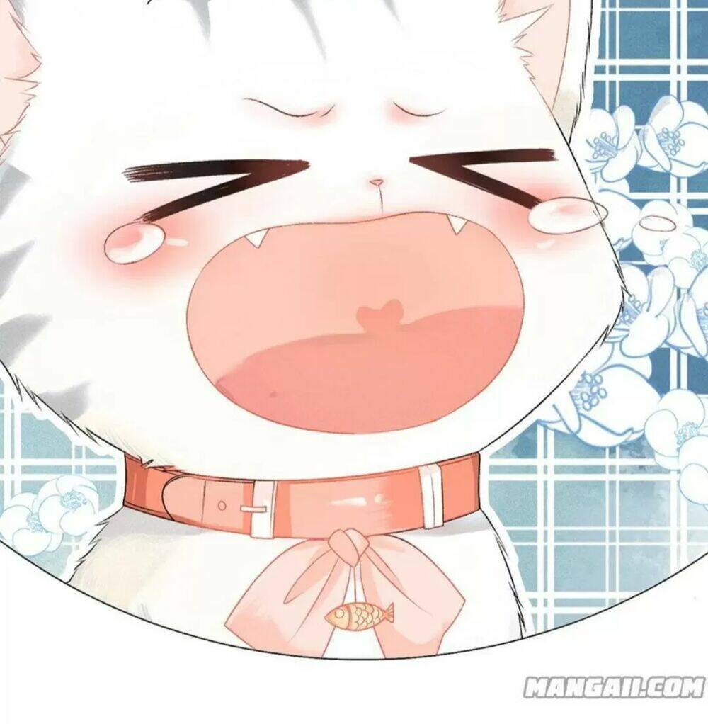 Cô Ấy Ngày Nào Cũng Lên Hot Search! Chapter 20 - Trang 2