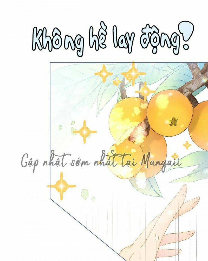 Cô Ấy Ngày Nào Cũng Lên Hot Search! Chapter 24 - Trang 2