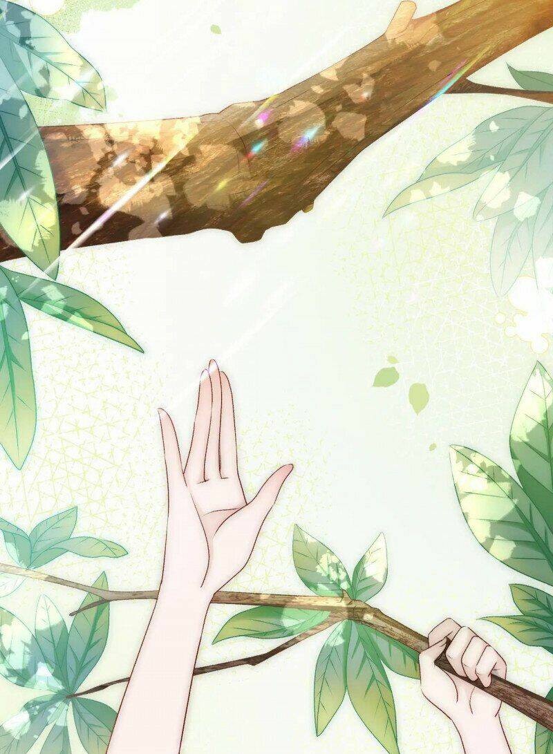 Cô Ấy Ngày Nào Cũng Lên Hot Search! Chapter 25 - Trang 2