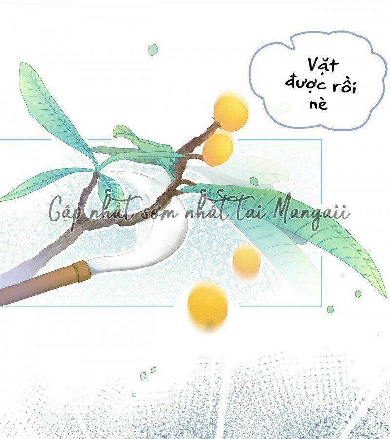 Cô Ấy Ngày Nào Cũng Lên Hot Search! Chapter 25 - Trang 2