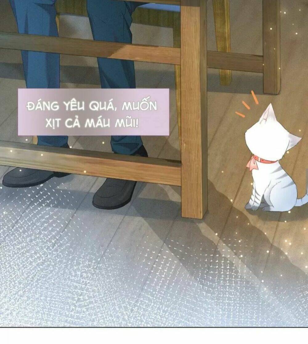 Cô Ấy Ngày Nào Cũng Lên Hot Search! Chapter 26 - Trang 2