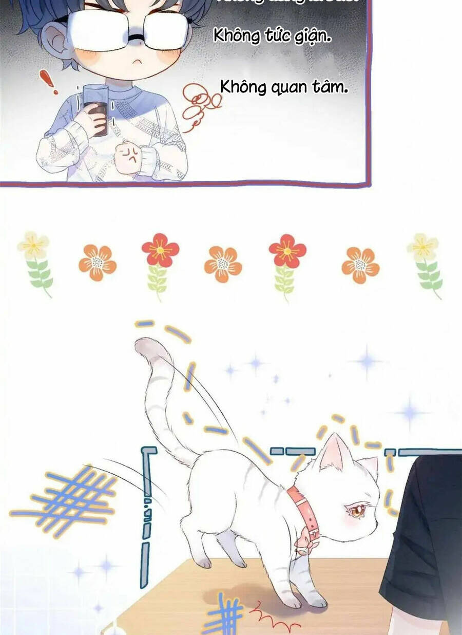 Cô Ấy Ngày Nào Cũng Lên Hot Search! Chapter 34 - Trang 2