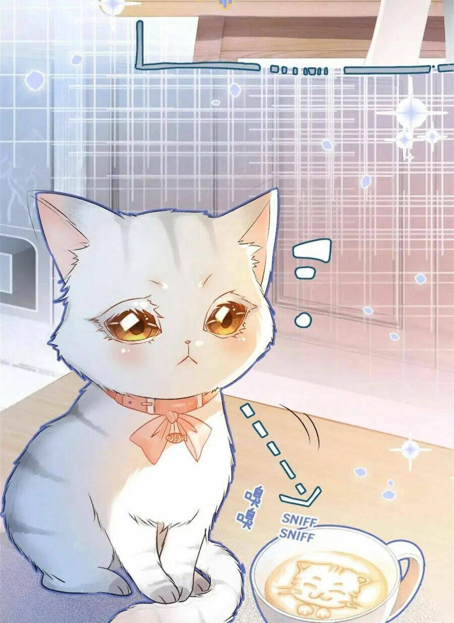 Cô Ấy Ngày Nào Cũng Lên Hot Search! Chapter 34 - Trang 2