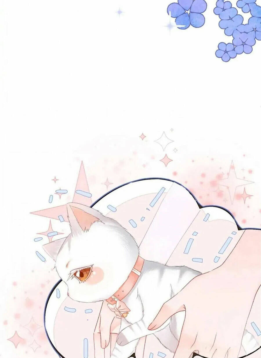 Cô Ấy Ngày Nào Cũng Lên Hot Search! Chapter 34 - Trang 2