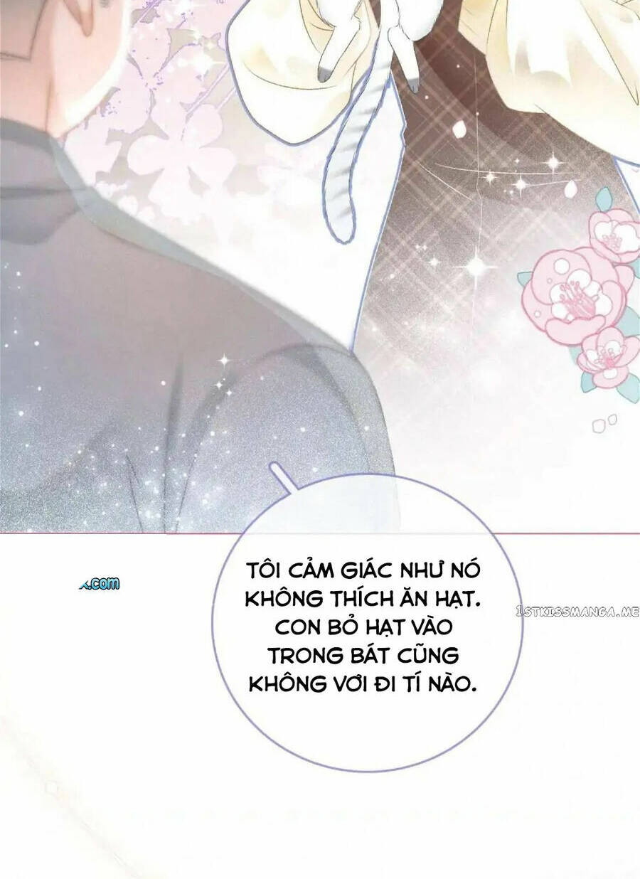 Cô Ấy Ngày Nào Cũng Lên Hot Search! Chapter 34 - Trang 2