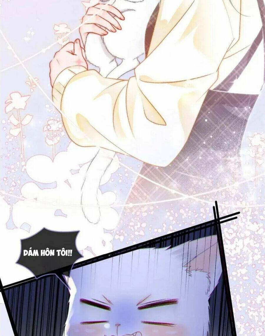 Cô Ấy Ngày Nào Cũng Lên Hot Search! Chapter 34 - Trang 2