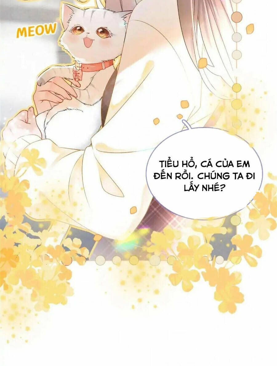 Cô Ấy Ngày Nào Cũng Lên Hot Search! Chapter 34 - Trang 2