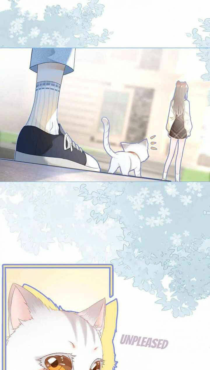 Cô Ấy Ngày Nào Cũng Lên Hot Search! Chapter 35 - Trang 2