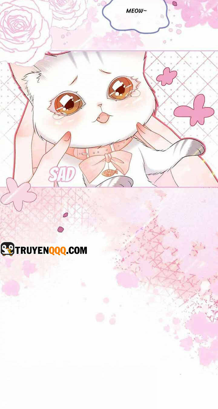 Cô Ấy Ngày Nào Cũng Lên Hot Search! Chapter 35 - Trang 2