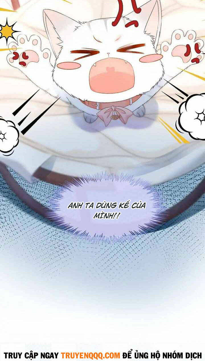 Cô Ấy Ngày Nào Cũng Lên Hot Search! Chapter 36 - Trang 2