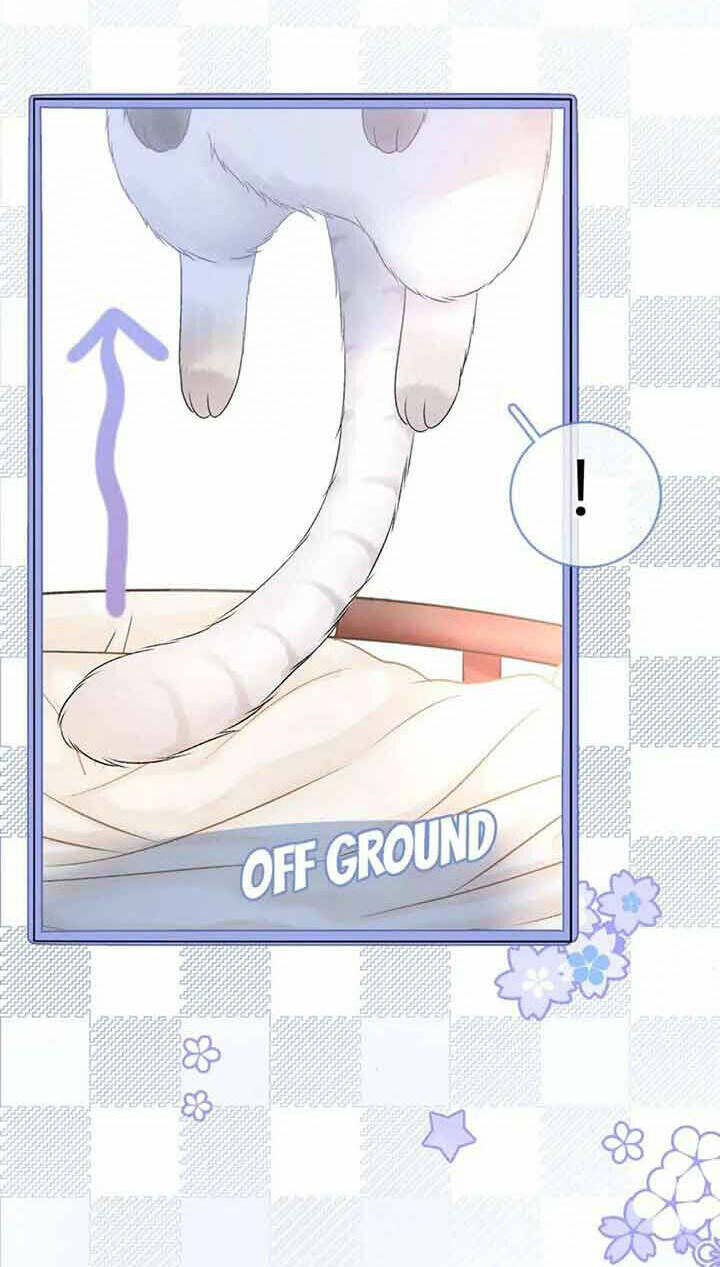 Cô Ấy Ngày Nào Cũng Lên Hot Search! Chapter 36 - Trang 2