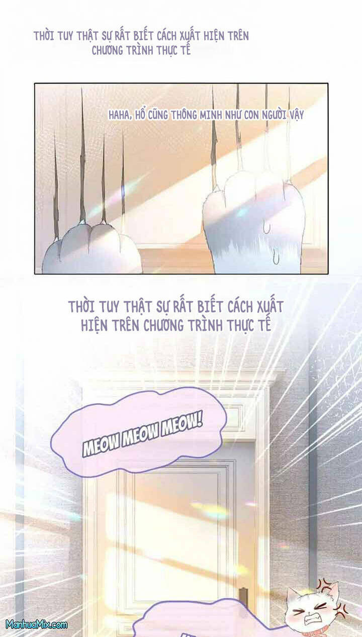 Cô Ấy Ngày Nào Cũng Lên Hot Search! Chapter 36 - Trang 2