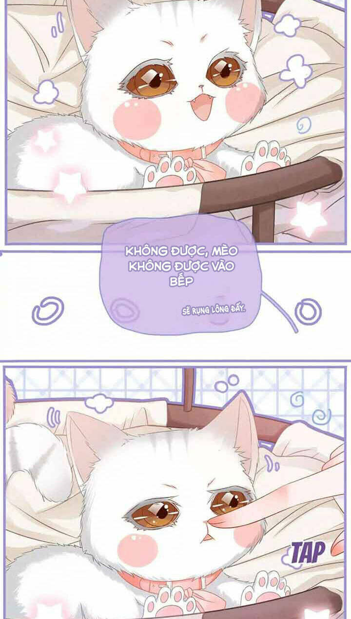 Cô Ấy Ngày Nào Cũng Lên Hot Search! Chapter 36 - Trang 2