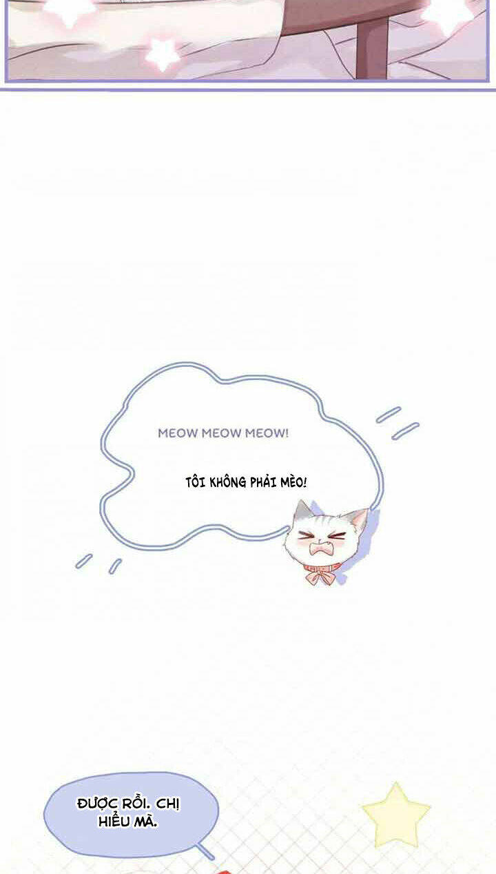 Cô Ấy Ngày Nào Cũng Lên Hot Search! Chapter 36 - Trang 2