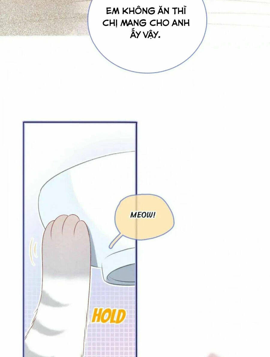 Cô Ấy Ngày Nào Cũng Lên Hot Search! Chapter 37 - Trang 2