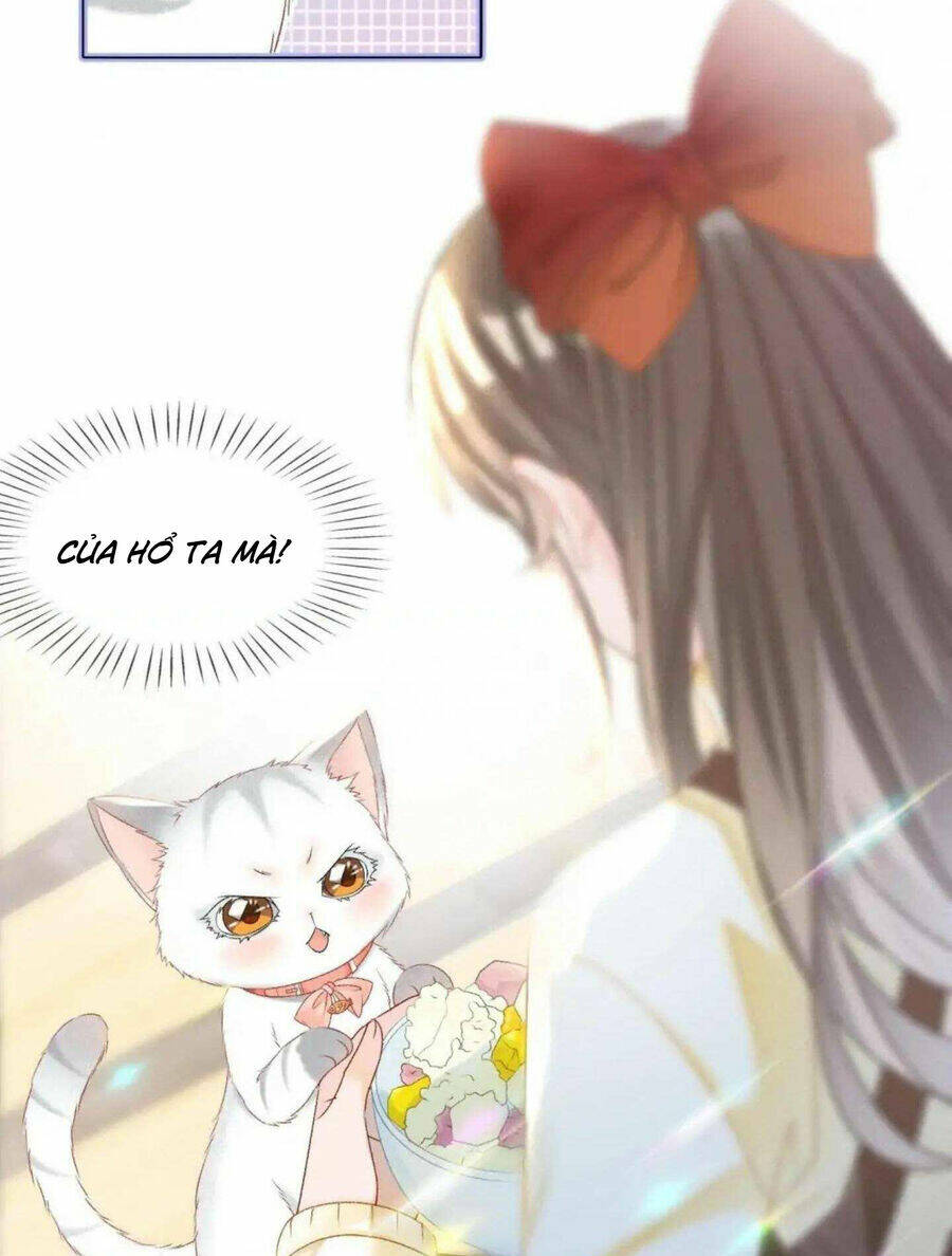 Cô Ấy Ngày Nào Cũng Lên Hot Search! Chapter 37 - Trang 2