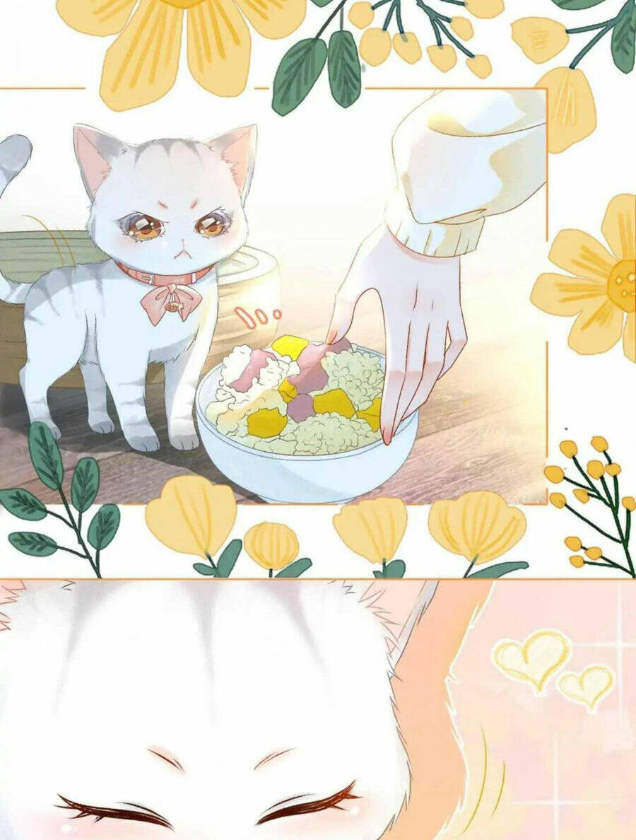 Cô Ấy Ngày Nào Cũng Lên Hot Search! Chapter 37 - Trang 2