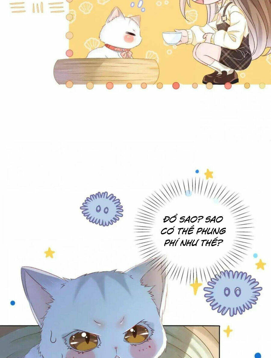 Cô Ấy Ngày Nào Cũng Lên Hot Search! Chapter 37 - Trang 2