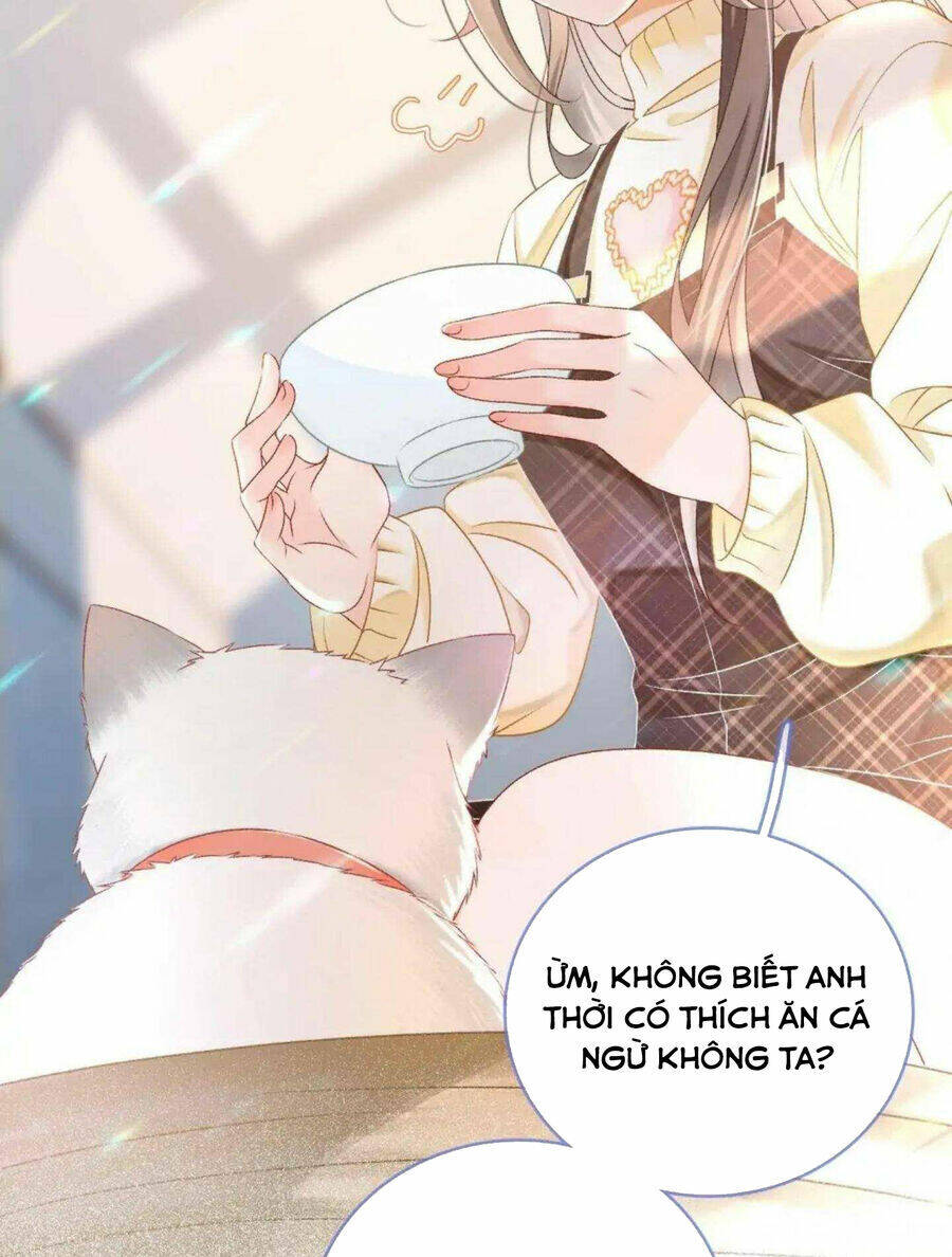 Cô Ấy Ngày Nào Cũng Lên Hot Search! Chapter 37 - Trang 2