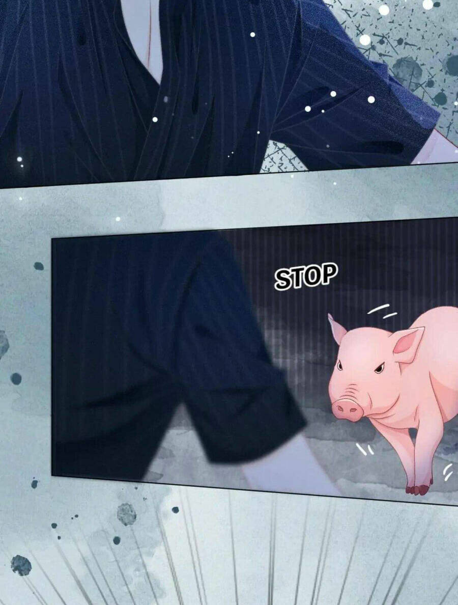 Cô Ấy Ngày Nào Cũng Lên Hot Search! Chapter 38 - Trang 2