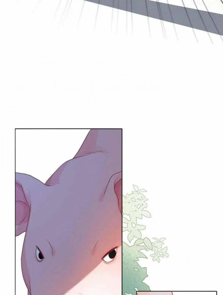 Cô Ấy Ngày Nào Cũng Lên Hot Search! Chapter 38 - Trang 2