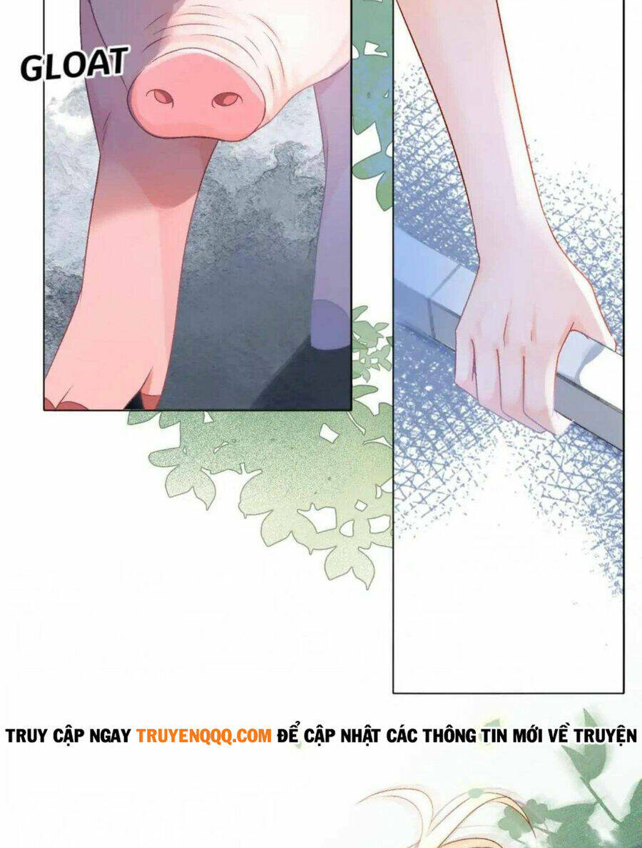 Cô Ấy Ngày Nào Cũng Lên Hot Search! Chapter 38 - Trang 2