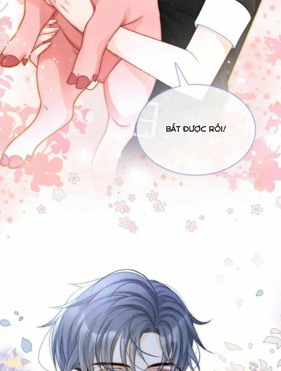 Cô Ấy Ngày Nào Cũng Lên Hot Search! Chapter 38 - Trang 2