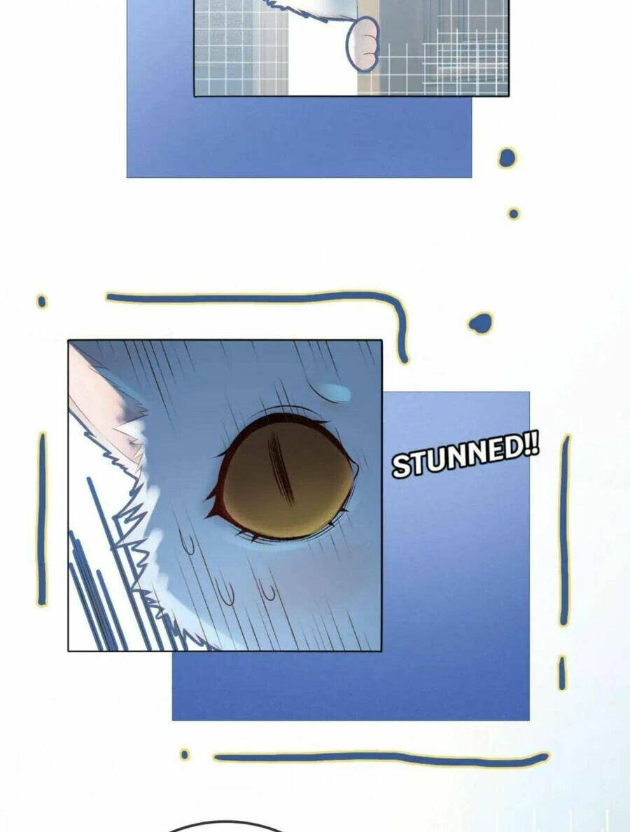 Cô Ấy Ngày Nào Cũng Lên Hot Search! Chapter 39 - Trang 2