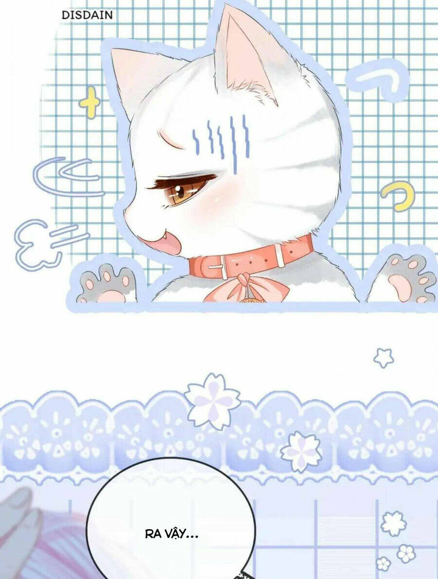 Cô Ấy Ngày Nào Cũng Lên Hot Search! Chapter 39 - Trang 2