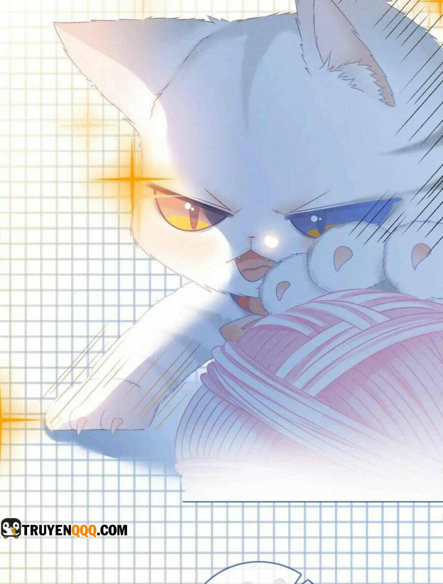 Cô Ấy Ngày Nào Cũng Lên Hot Search! Chapter 39 - Trang 2