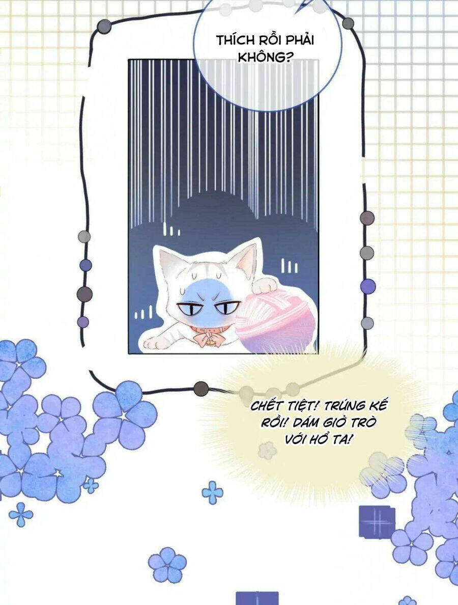 Cô Ấy Ngày Nào Cũng Lên Hot Search! Chapter 39 - Trang 2