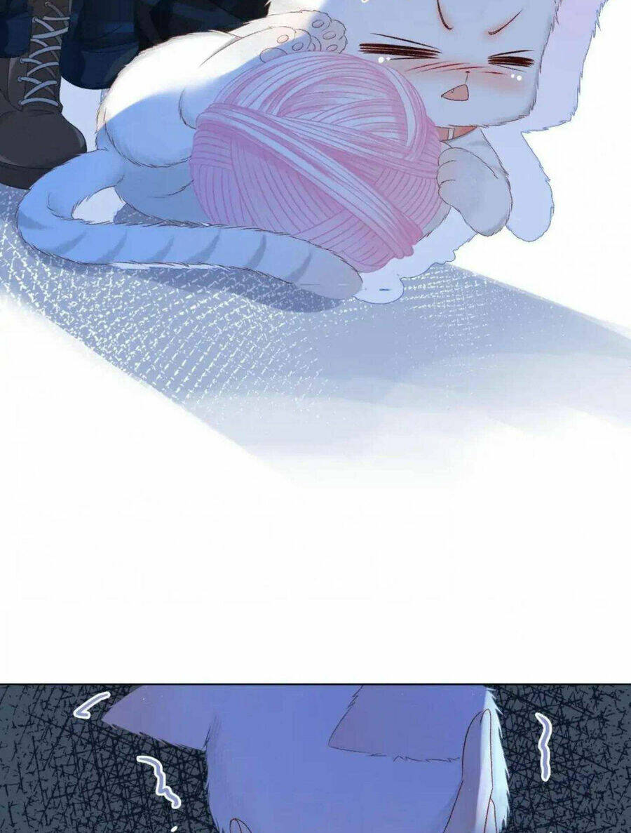 Cô Ấy Ngày Nào Cũng Lên Hot Search! Chapter 39 - Trang 2