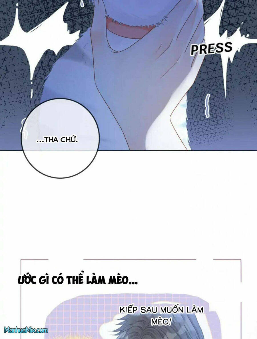 Cô Ấy Ngày Nào Cũng Lên Hot Search! Chapter 39 - Trang 2