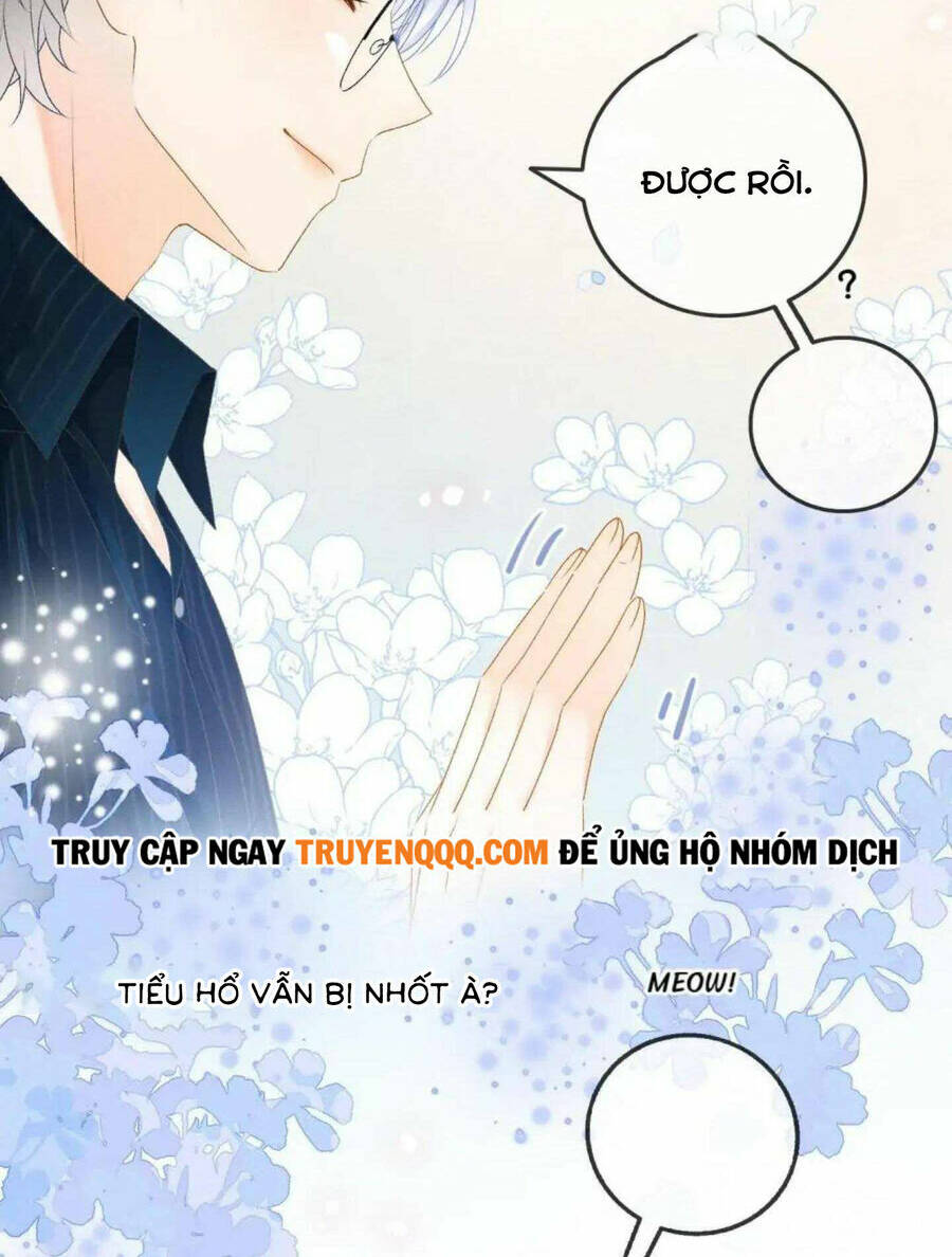 Cô Ấy Ngày Nào Cũng Lên Hot Search! Chapter 39 - Trang 2