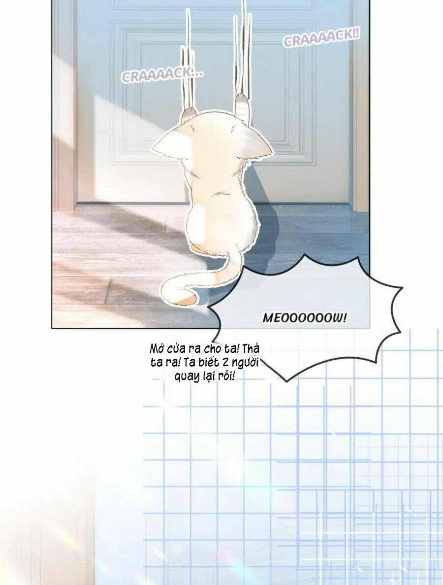 Cô Ấy Ngày Nào Cũng Lên Hot Search! Chapter 39 - Trang 2