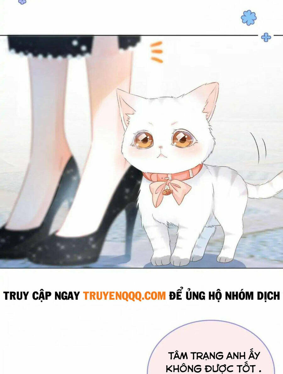 Cô Ấy Ngày Nào Cũng Lên Hot Search! Chapter 41 - Trang 2