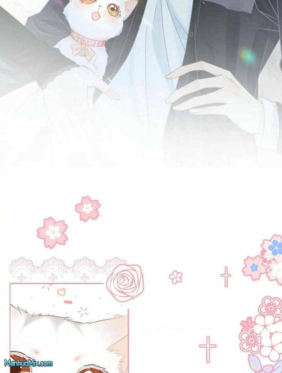 Cô Ấy Ngày Nào Cũng Lên Hot Search! Chapter 41 - Trang 2