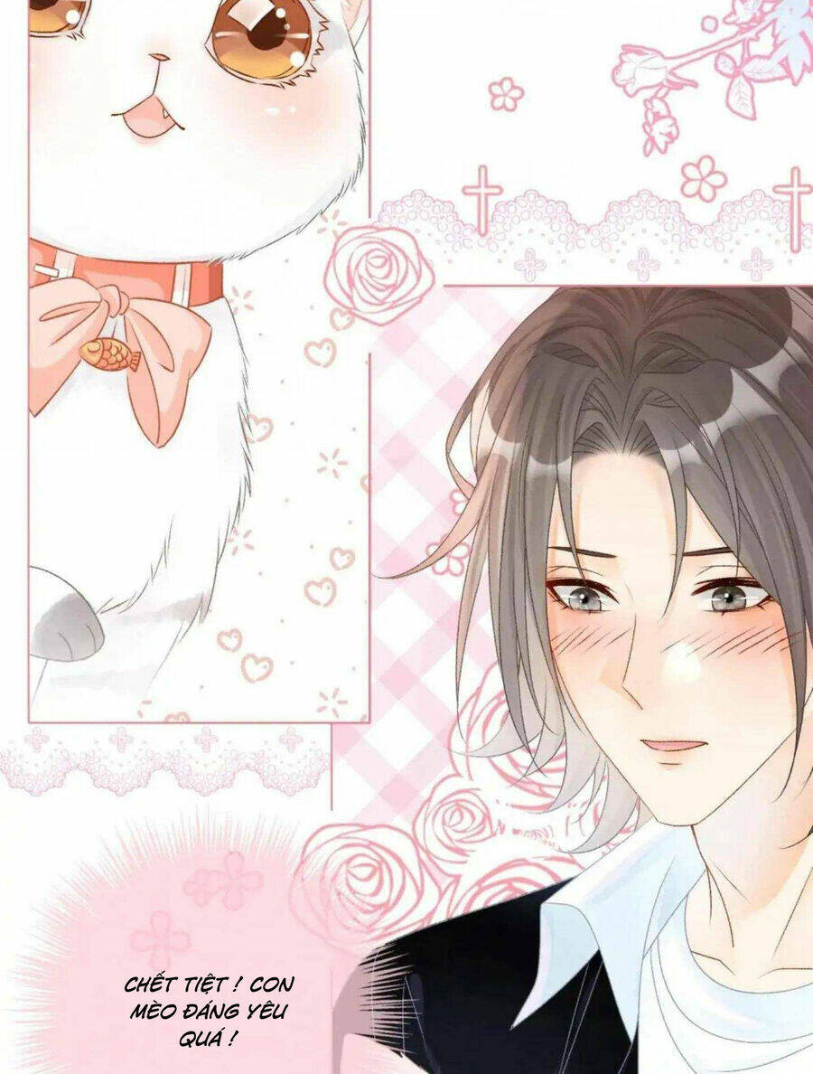 Cô Ấy Ngày Nào Cũng Lên Hot Search! Chapter 41 - Trang 2