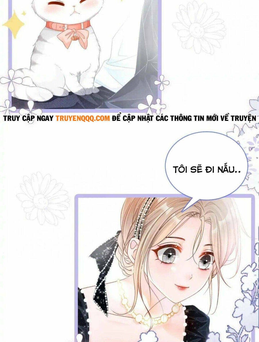 Cô Ấy Ngày Nào Cũng Lên Hot Search! Chapter 41 - Trang 2