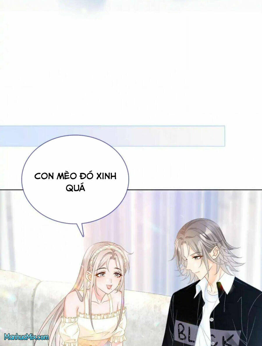 Cô Ấy Ngày Nào Cũng Lên Hot Search! Chapter 41 - Trang 2