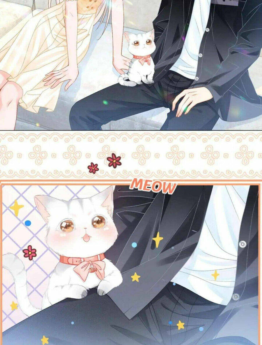 Cô Ấy Ngày Nào Cũng Lên Hot Search! Chapter 41 - Trang 2