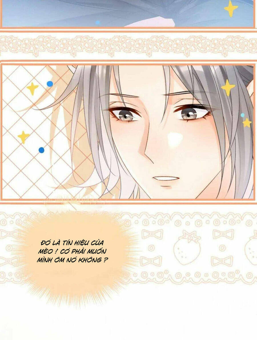 Cô Ấy Ngày Nào Cũng Lên Hot Search! Chapter 41 - Trang 2