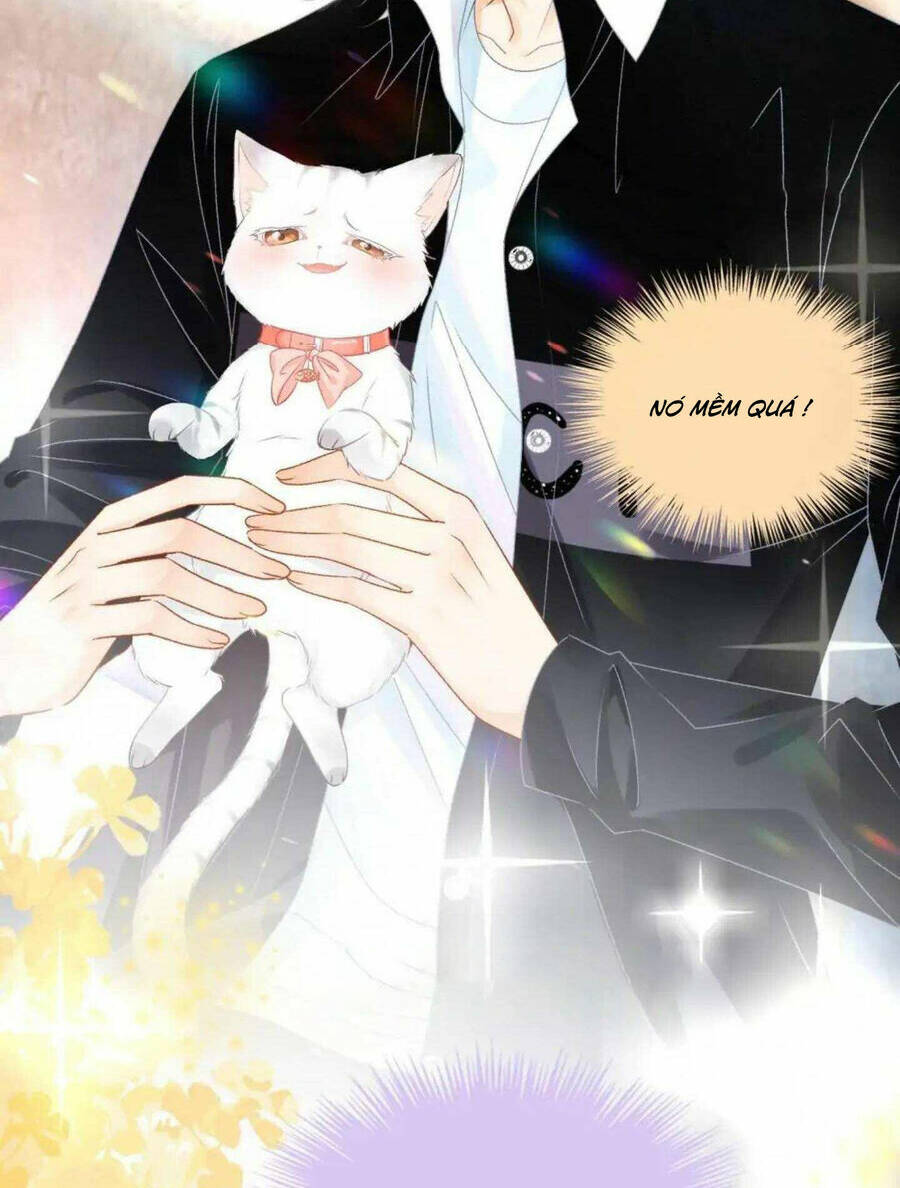 Cô Ấy Ngày Nào Cũng Lên Hot Search! Chapter 41 - Trang 2