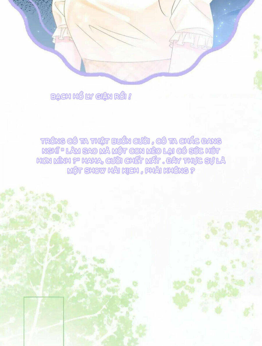 Cô Ấy Ngày Nào Cũng Lên Hot Search! Chapter 41 - Trang 2