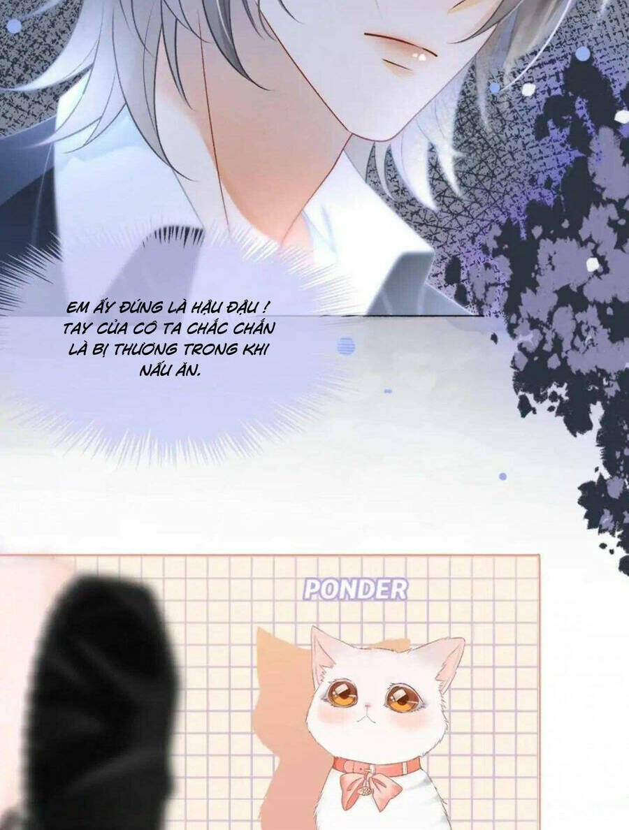 Cô Ấy Ngày Nào Cũng Lên Hot Search! Chapter 41 - Trang 2