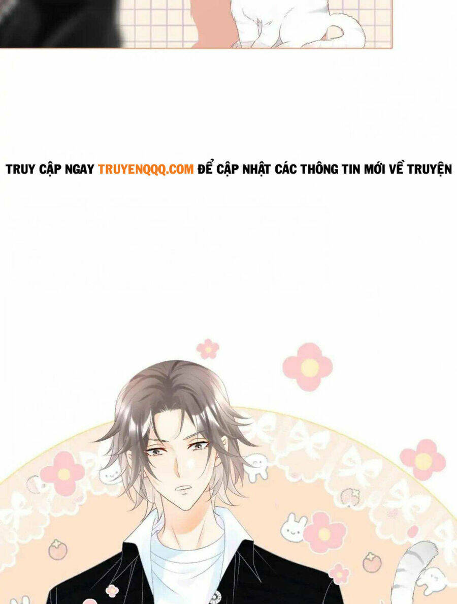 Cô Ấy Ngày Nào Cũng Lên Hot Search! Chapter 41 - Trang 2