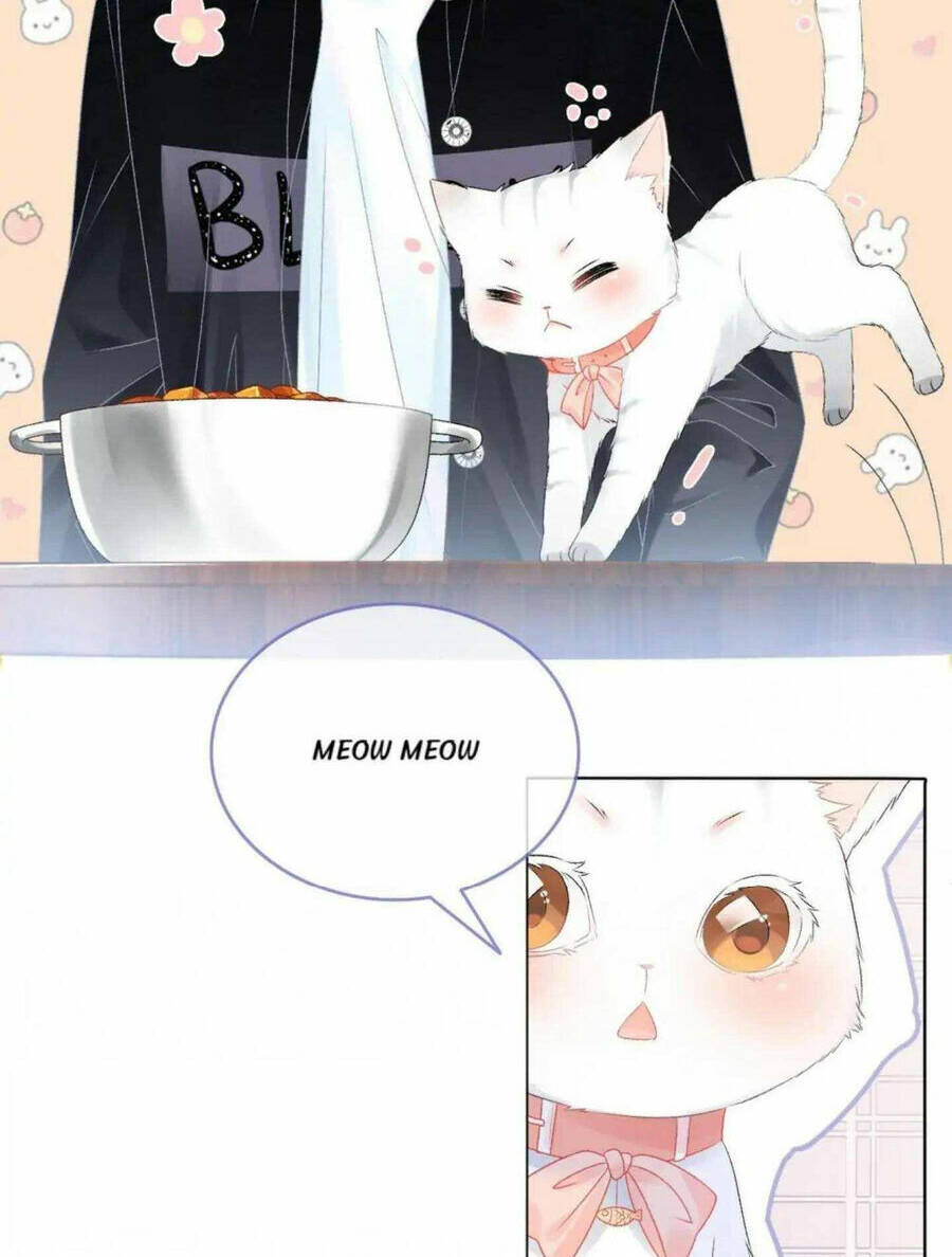 Cô Ấy Ngày Nào Cũng Lên Hot Search! Chapter 41 - Trang 2