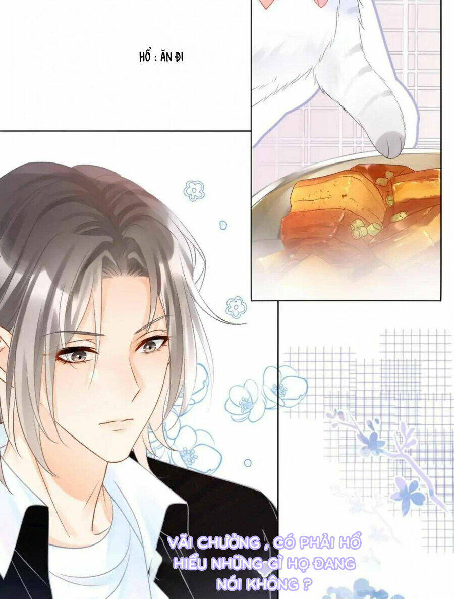 Cô Ấy Ngày Nào Cũng Lên Hot Search! Chapter 41 - Trang 2