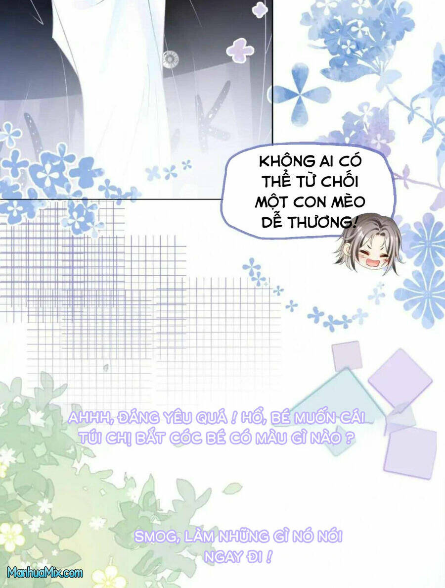 Cô Ấy Ngày Nào Cũng Lên Hot Search! Chapter 41 - Trang 2