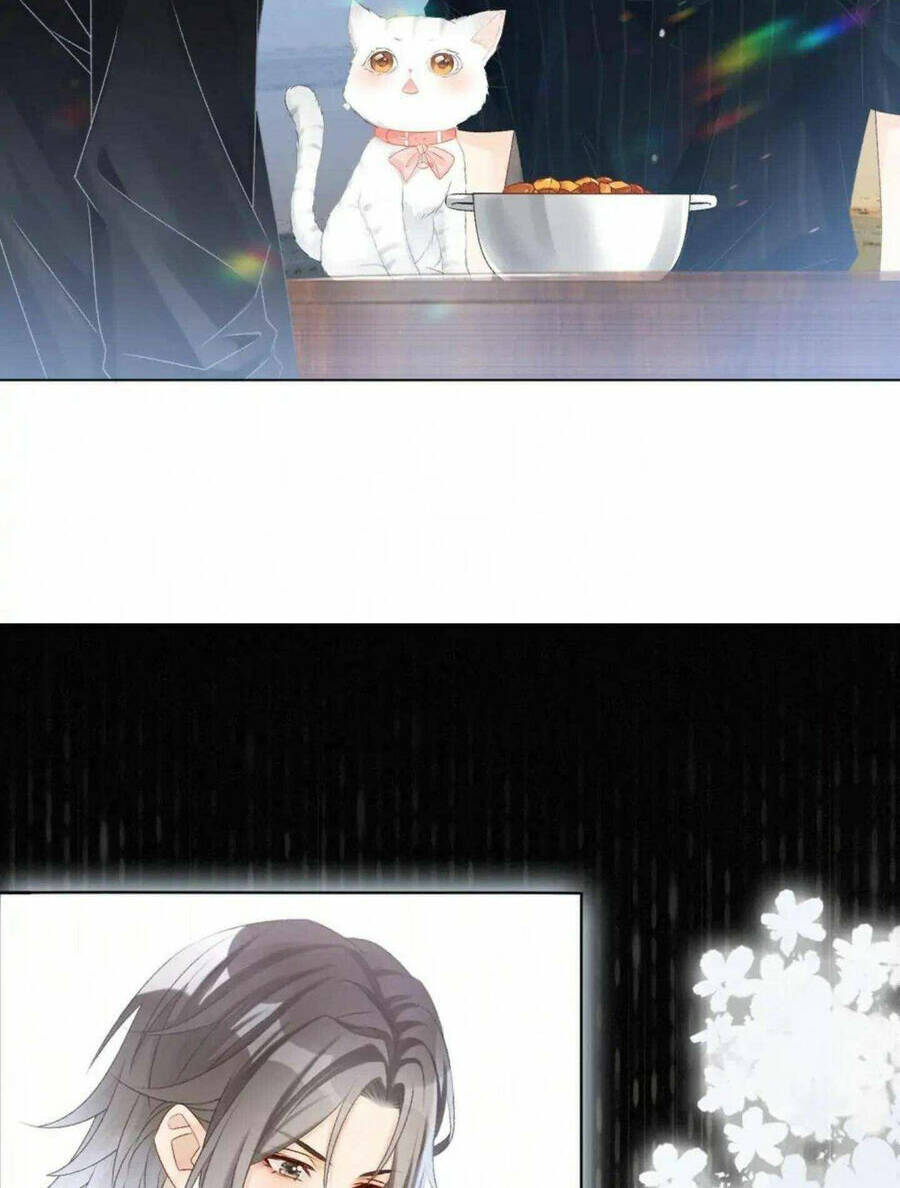 Cô Ấy Ngày Nào Cũng Lên Hot Search! Chapter 41 - Trang 2